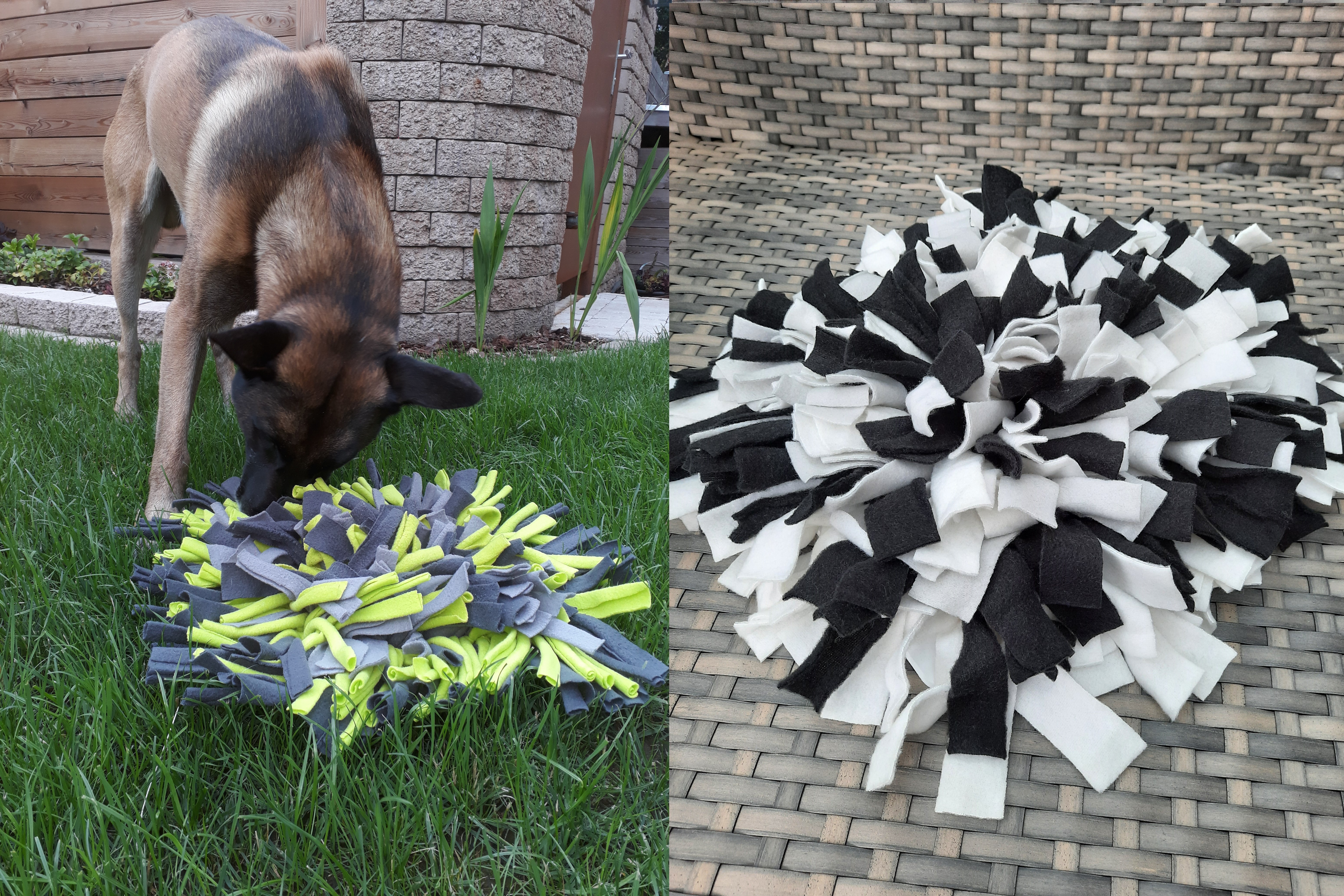 Schnüffelteppich verschiedene Varianten